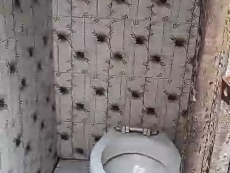 Vente parcelle avec des maisons à NDJILI Q13