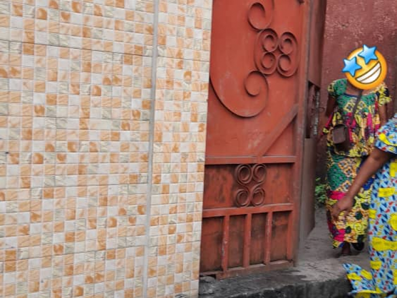 Vente parcelle avec des maisons à NDJILI Q13