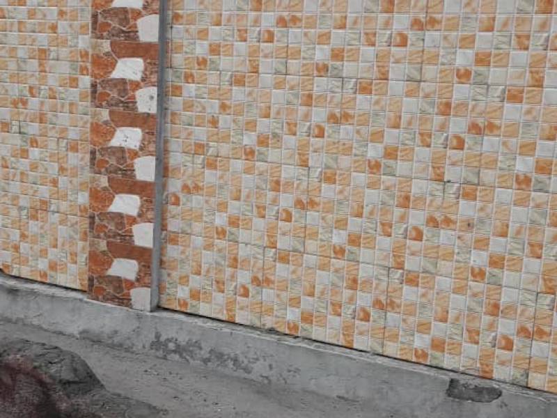 Vente parcelle avec des maisons à NDJILI Q13