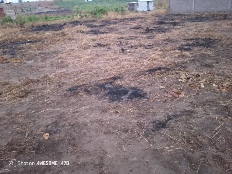 Des terrains vidé à vendre dans la commune de la N'SELE précisément à BIBWA