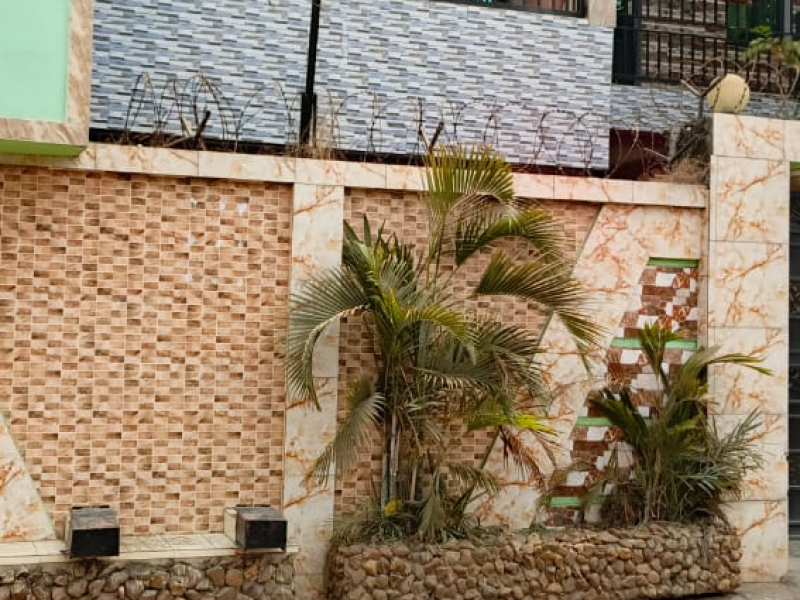 vente parcelle à mimosa/pompage très bel endroit