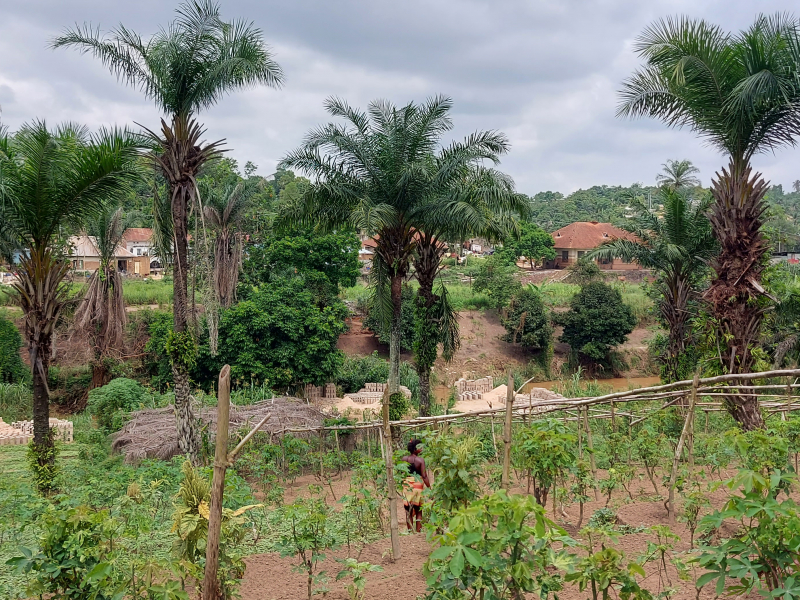 Terrains de 20 sur 20 à vendre à Kimwenza Gare - Mont Ngafula