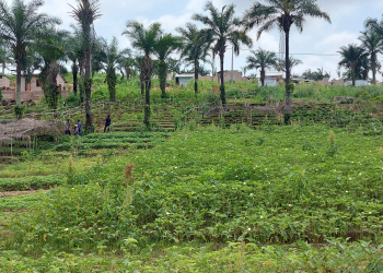 Terrains de 20 sur 20 à vendre à Kimwenza Gare - Mont Ngafula