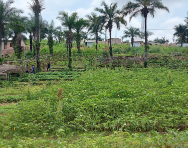 Terrains de 20 sur 20 à vendre à Kimwenza Gare - Mont Ngafula