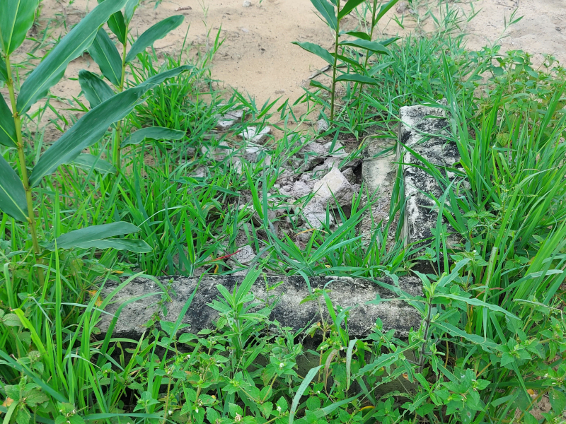 La parcelle à morceler est borné