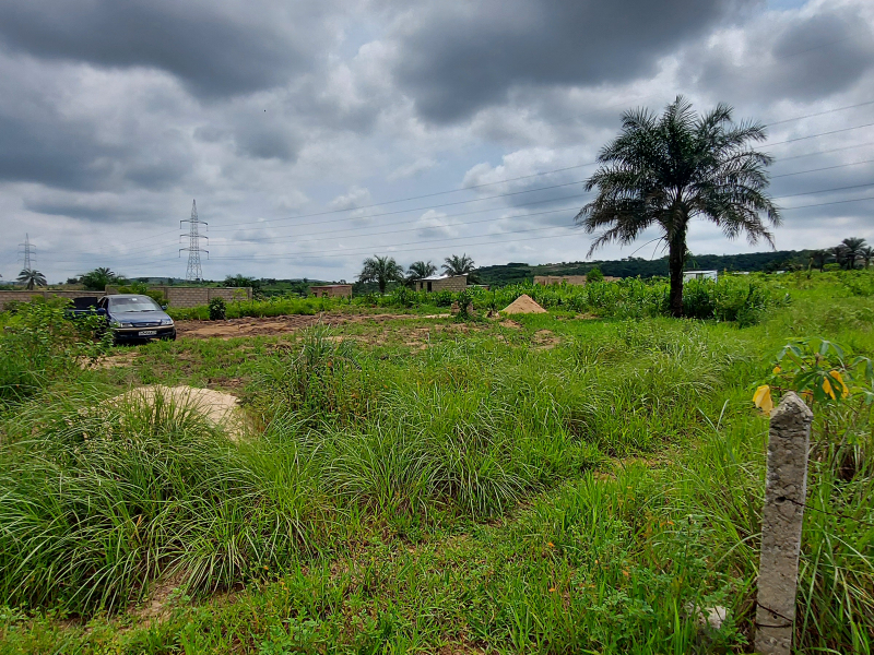 Photo prise sur la route d'accès, parcelle à droite