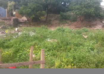 Terrain vide de 33 sur 16 à vendre à Mont Ngafula CPA