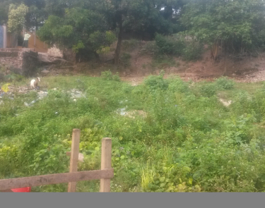 Terrain vide de 33 sur 16 à vendre à Mont Ngafula CPA