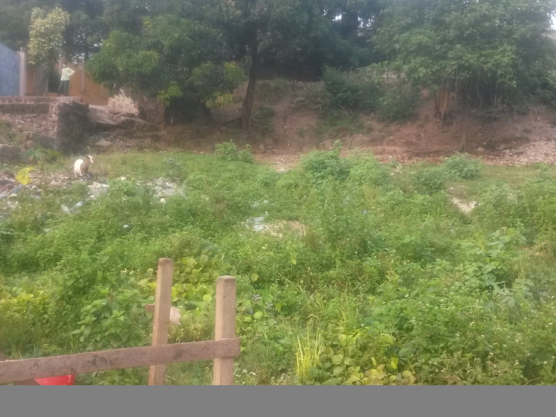 Terrain vide de 33 sur 16 à vendre à Mont Ngafula CPA