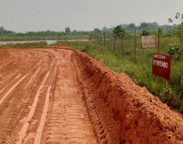Vente 3 hectares et demi au bord de la rivière nsele très bon emplacement non loin de macadam