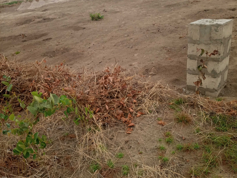 Des terrains mise en vente à Bibwa commune de la nsele 1500$,1300$