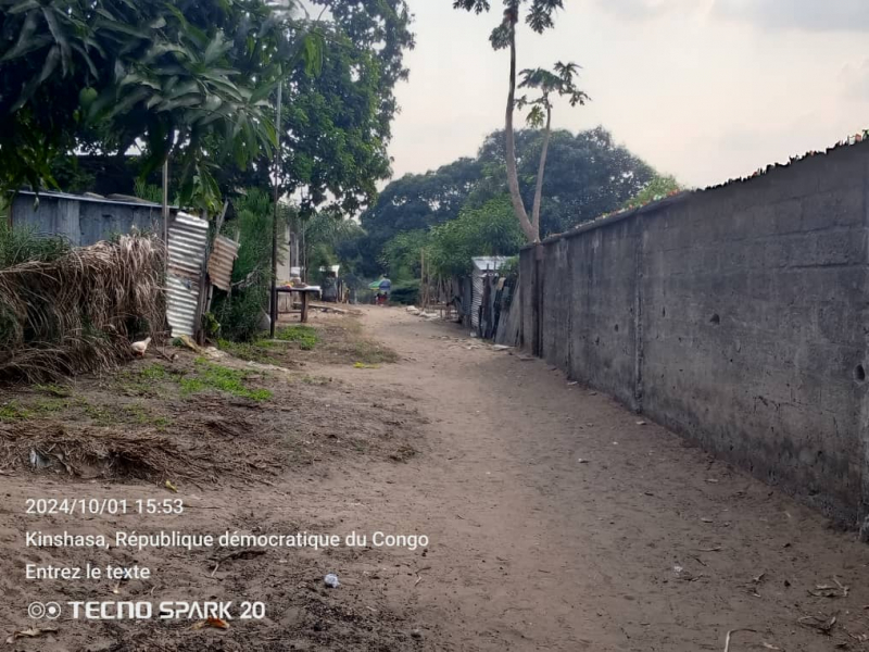 Parcelle à vendre dans la commune de la nsele précisément à terre jaune avec 3 portes de locataires