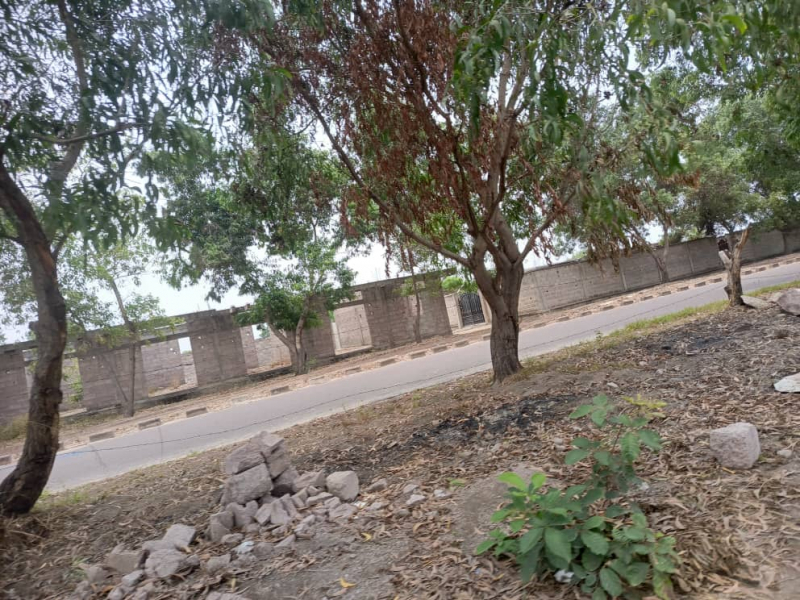 Terrain vidé à vendre Commune de la nsele précisément à kindobo