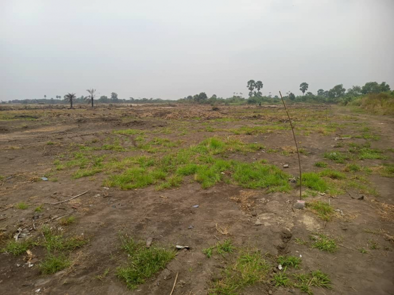 Terrain vidé à vendre Commune de la nsele précisément à kindobo